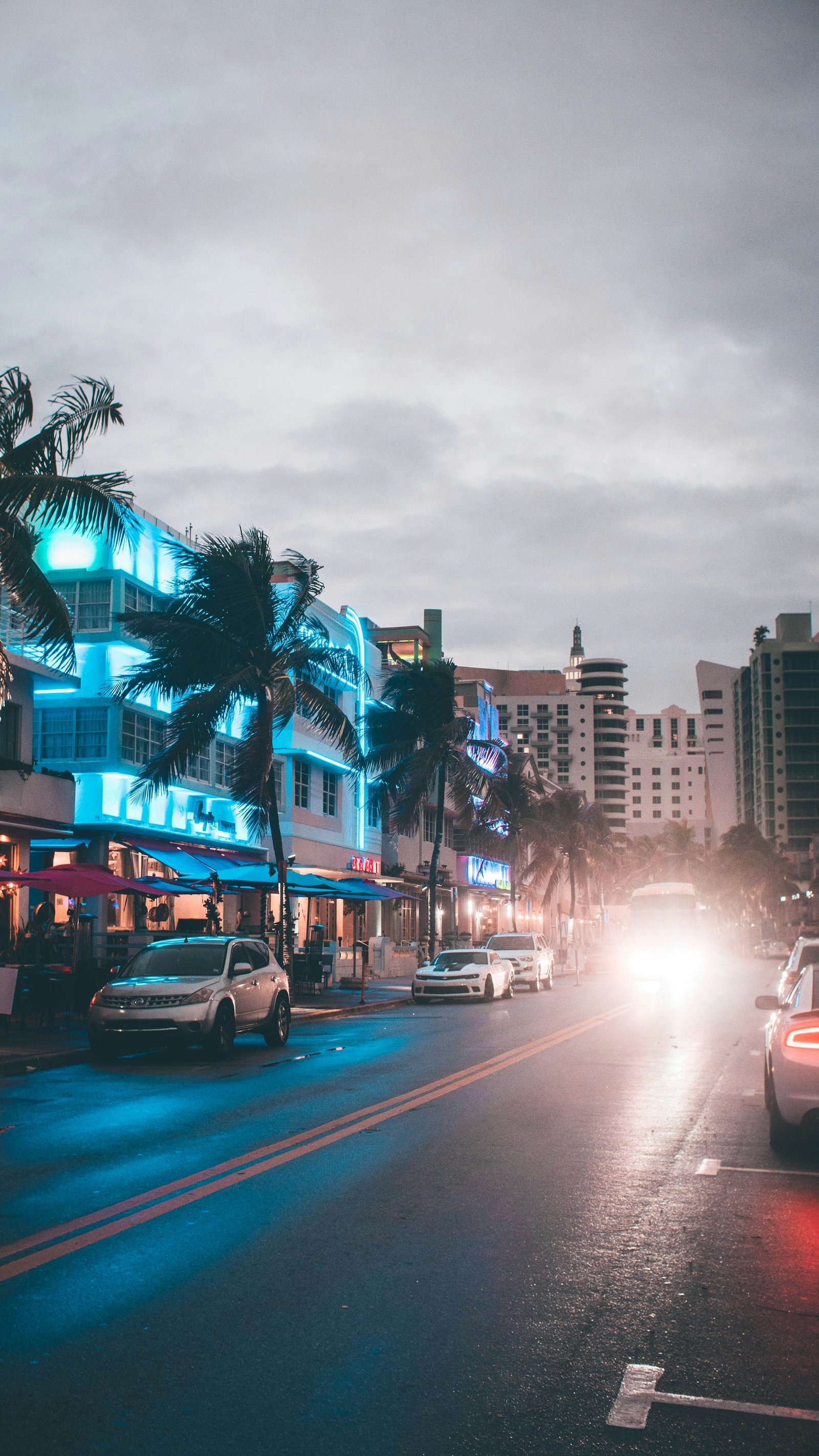 Palm-lined Miami Beach street with cars and Art Deco buildings